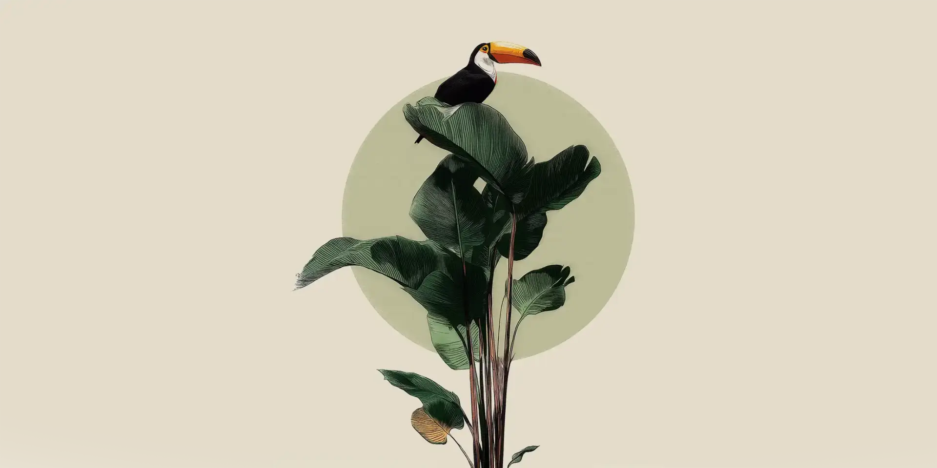 Toile tendue murale Toucan perché, deuxième visuel