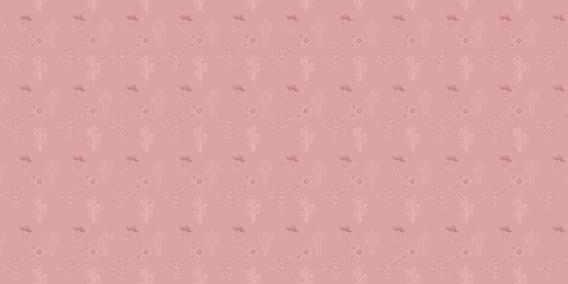 Toile tendue murale Cactus et douceur, deuxième visuel