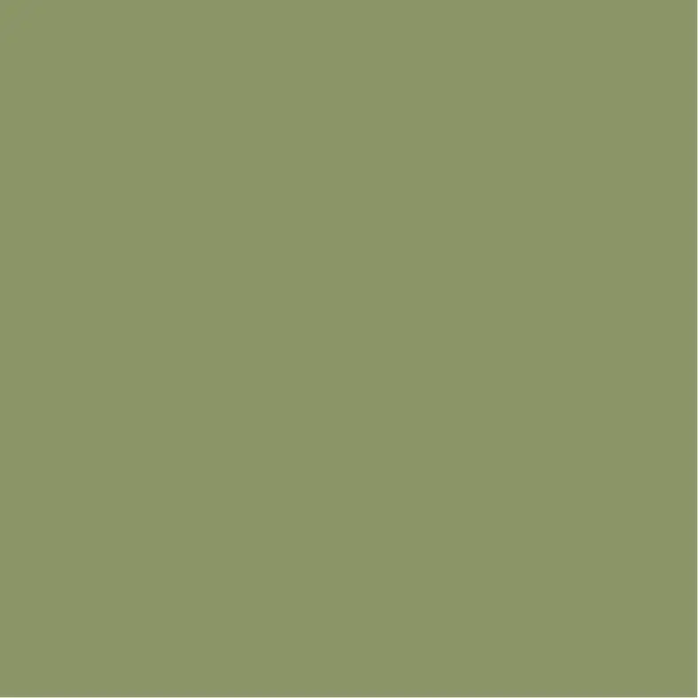 9ee3670a-60de-4088-8393-df9e236ffca0 Toile tendue murale T3 - Réf. Vert Olive, posée dans un intérieur