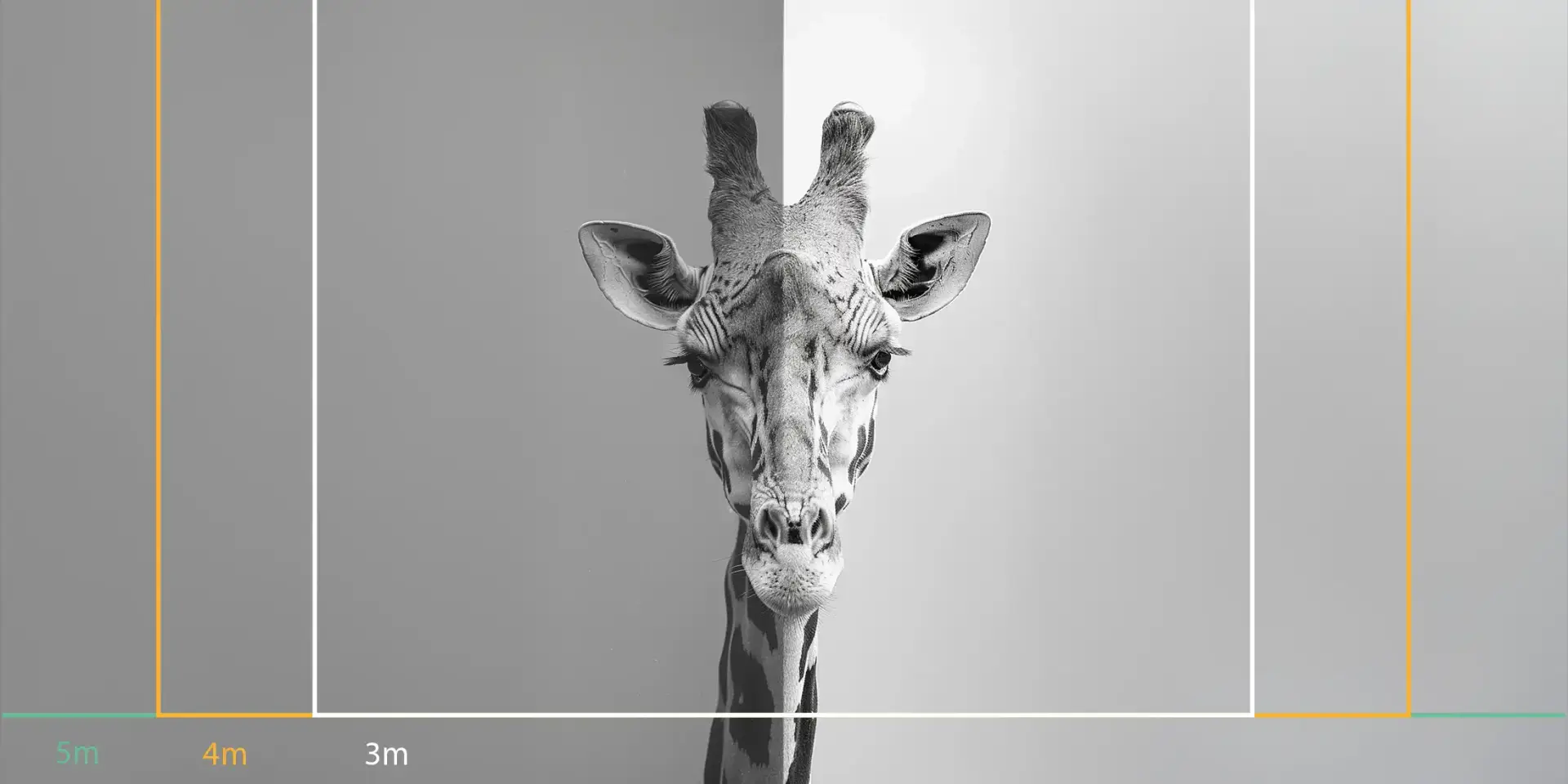 b56209ab-dfd3-4a4b-ae5f-3f672f6cc2d8 Toile tendue murale Portrait de girafe noir et blanc, troisième visuel