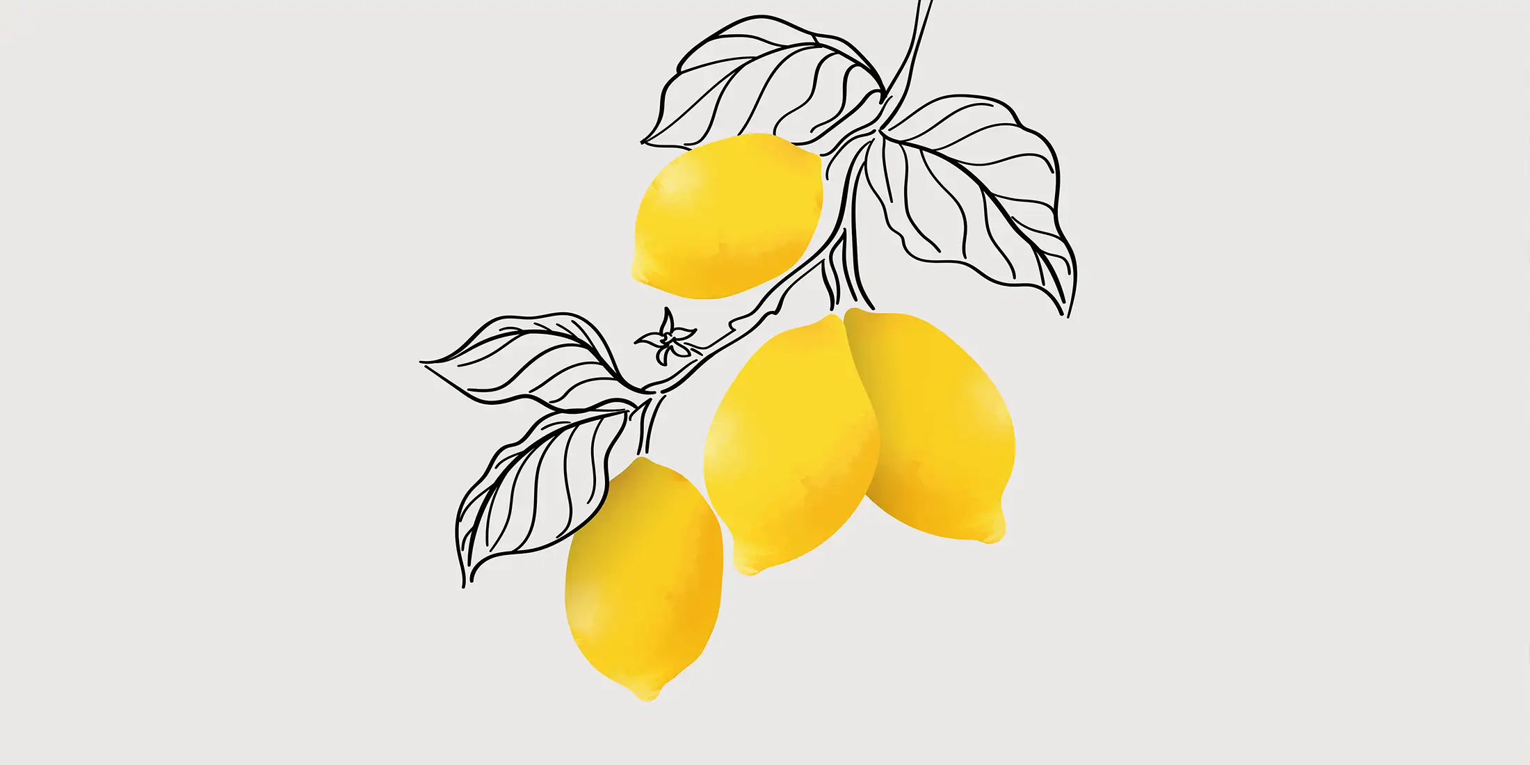 Toile tendue murale Citrus Italia, deuxième visuel