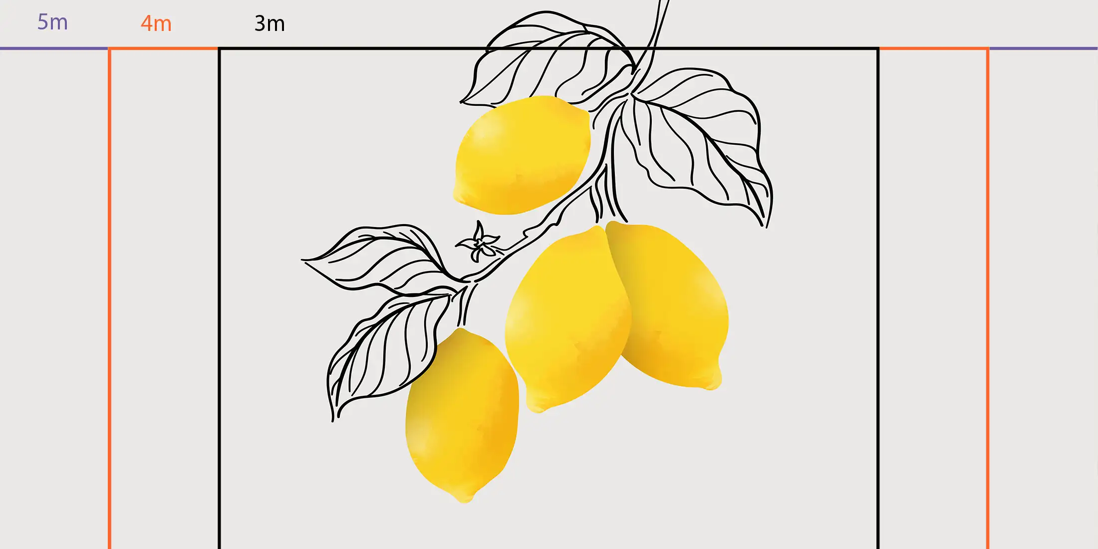 be635326-7cbc-487d-8ac7-4dddc6c473ec Toile tendue murale Citrus Italia, troisième visuel