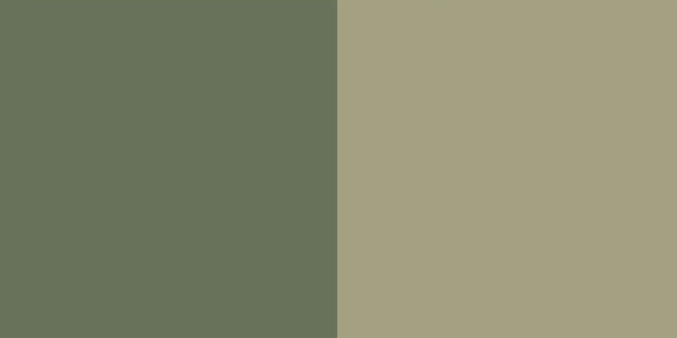 store_01JSP77R2WD9DAGQYCZT8JS9562Fassets2F1746005760962-1609-bi-color-vert-sauge-500008 Toile tendue murale Vert Sauge, deuxième visuel
