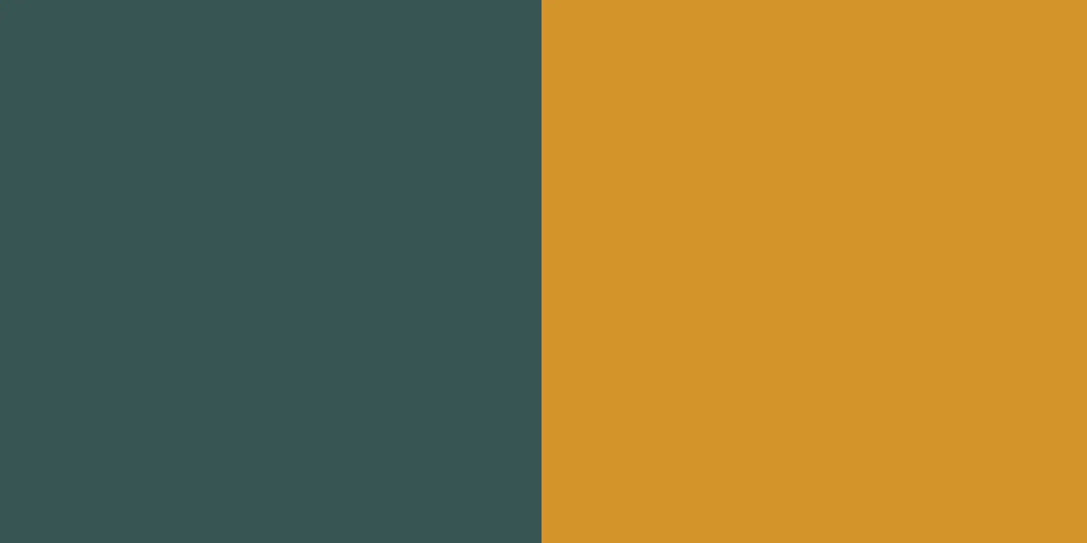 store_01JSP77R2WD9DAGQYCZT8JS9562Fassets2F1746005886338-1609-bi-color-vert-armerie-jaune-ziem-500009 Toile tendue murale Vert Armerie & Jaune Ziem, deuxième visuel