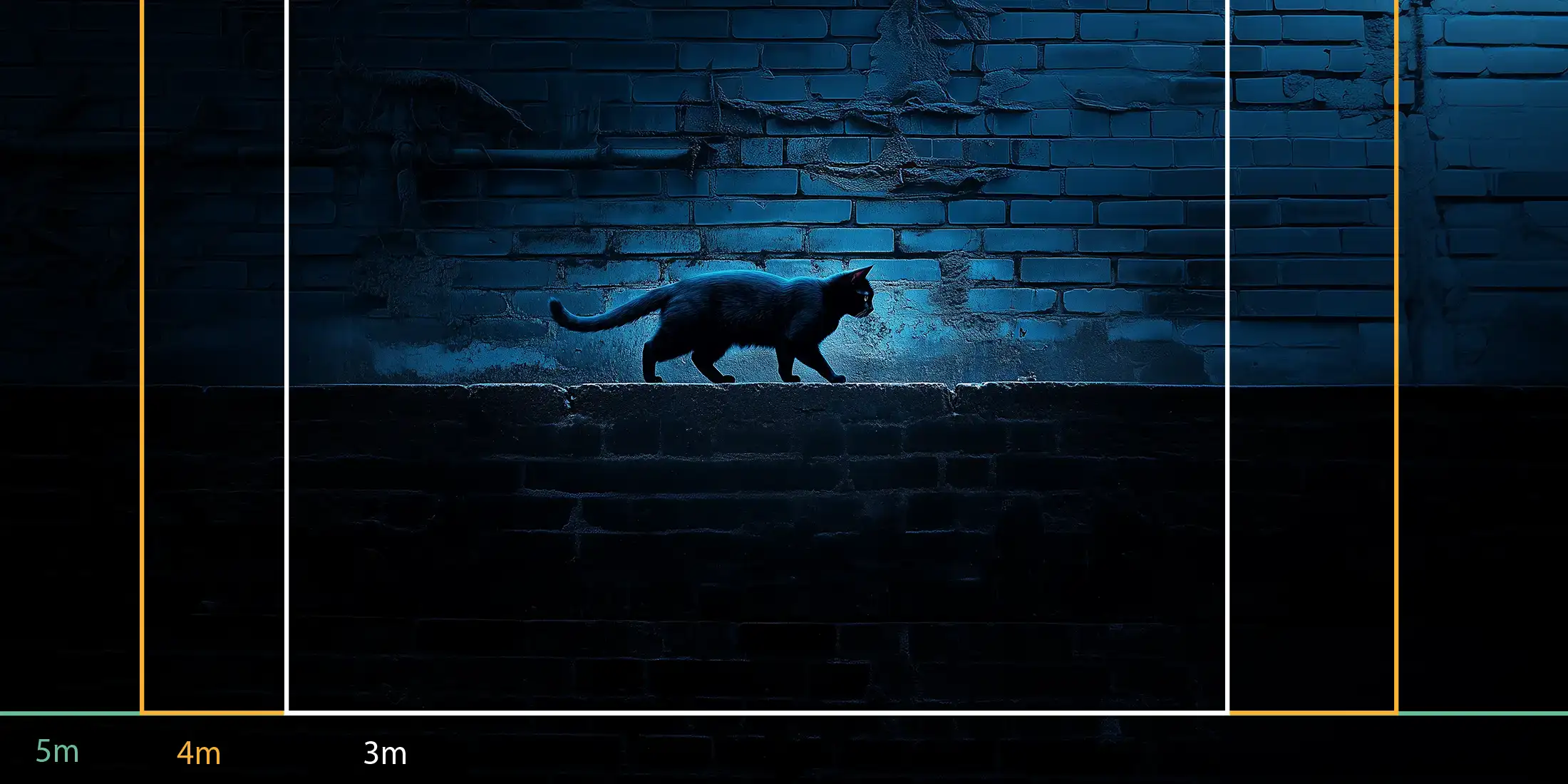store_01JSP77R2WD9DAGQYCZT8JS9562Fassets2F1751036447063-chat-marchant-sur-mur-pleine-lune-mesures-200007 Toile tendue murale Chat sur le mur, troisième visuel