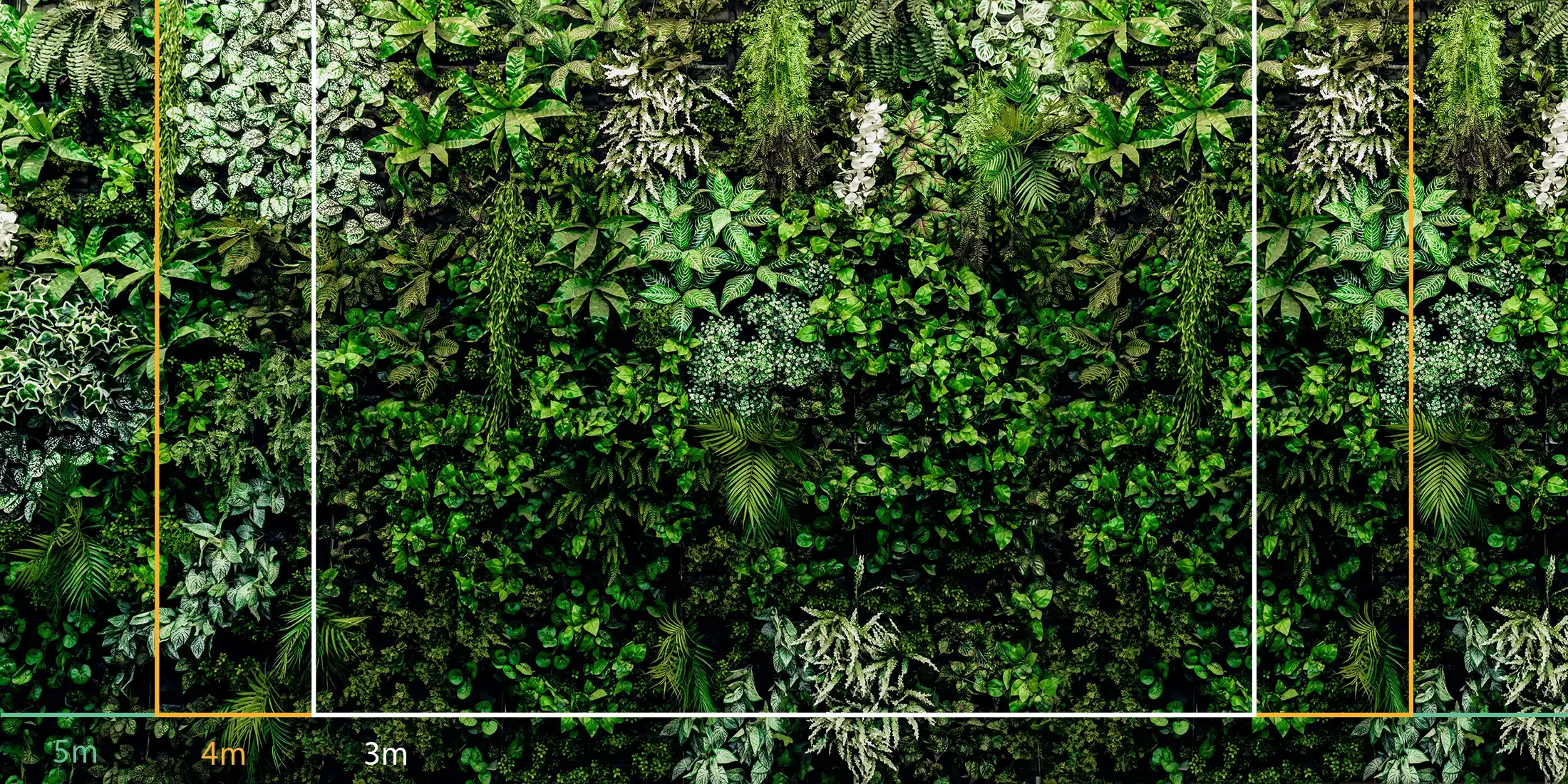 store_01JSP77R2WD9DAGQYCZT8JS9562Fassets2F1751442571710-1609-mur-vegetal-mesures-600011 Toile tendue murale Mur végétal, troisième visuel