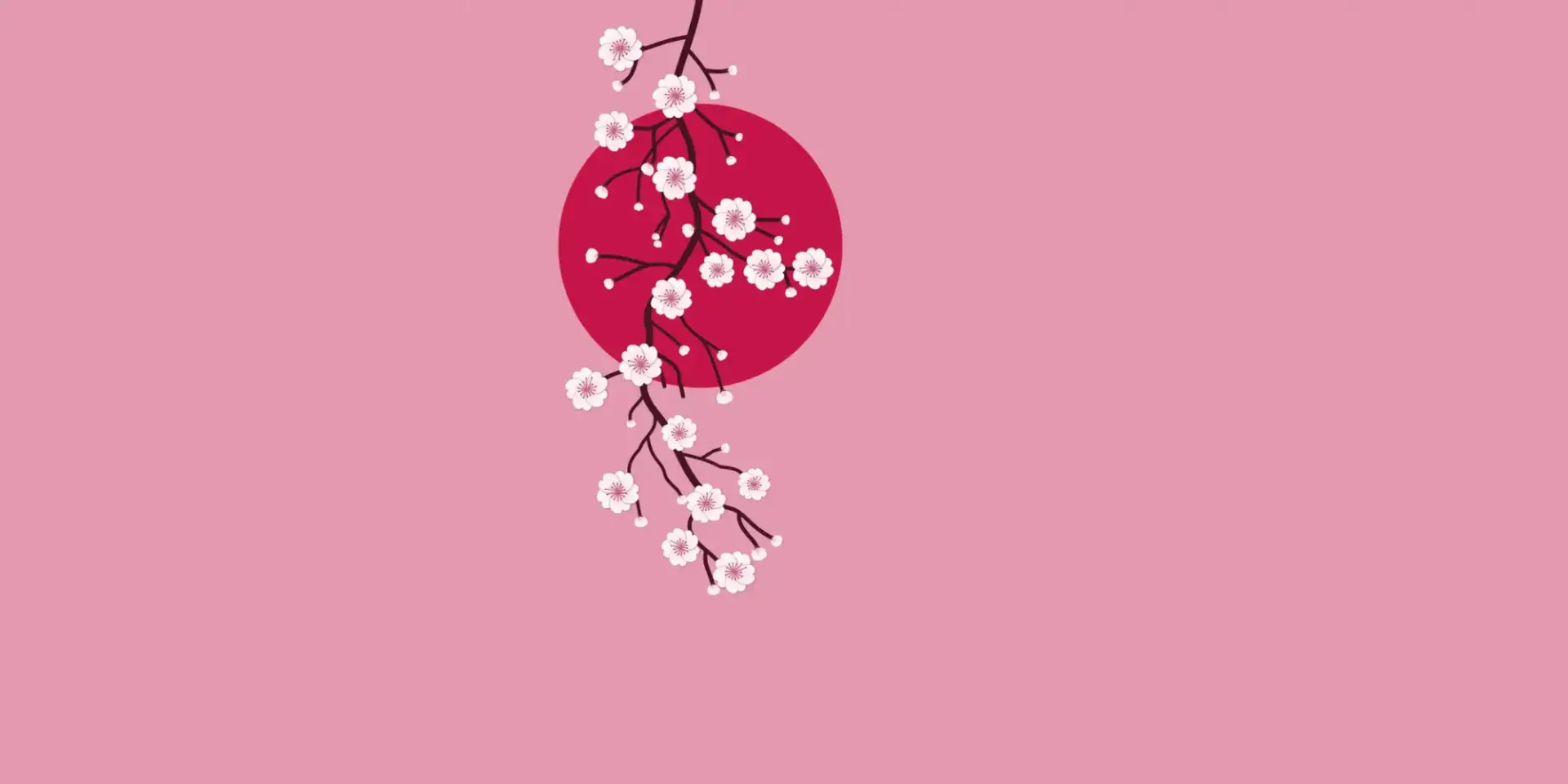 Toile tendue murale Branche de cerisier du Japon, deuxième visuel